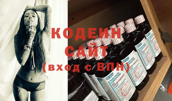 хмурый Пересвет