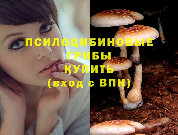 амф Балахна