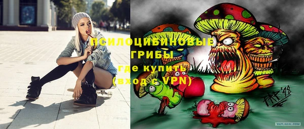амф Пестово